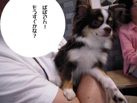 DSCN0062 通院