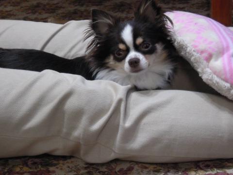 DSCN0112.jpg