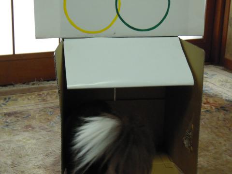 DSCN9543.jpg
