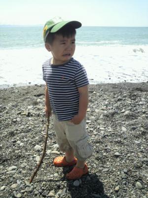 201205041050001.jpg