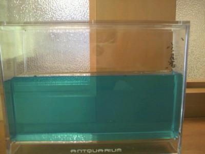 2012071517540000.jpg