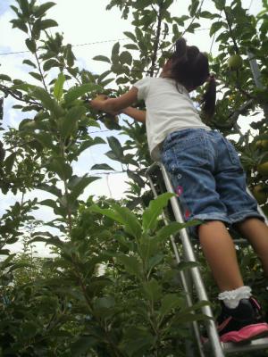 2012091710490000.jpg