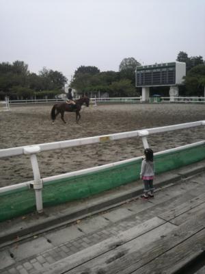 2012101412540000.jpg