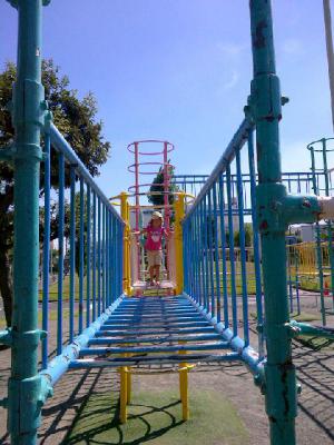 IMG-20120826-00187.jpg