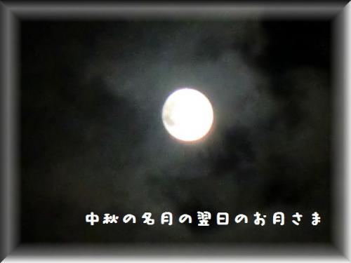 1188.jpg
