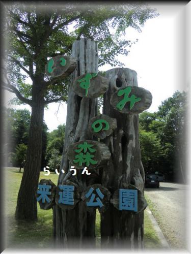 979.jpg