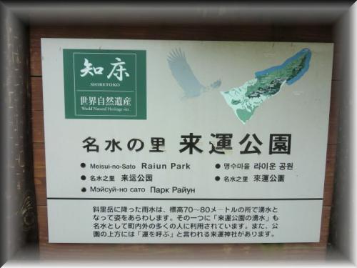 980.jpg