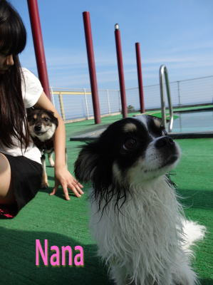nana