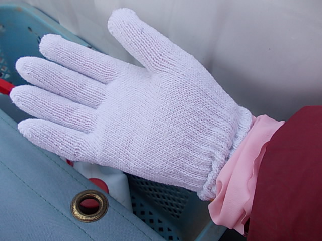 Double glove to apply herbicides 20130304