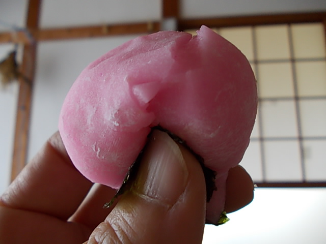 Ricecake 20130222