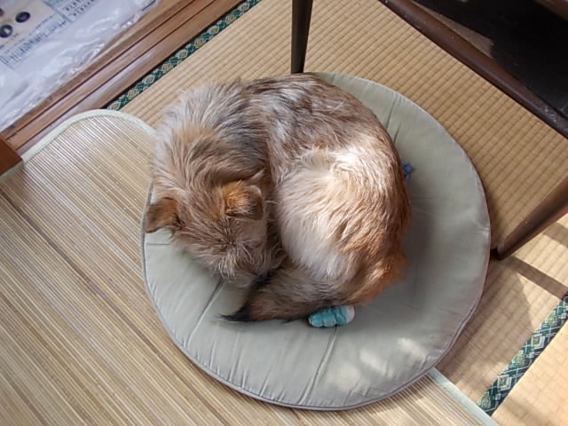 Saku 20140201