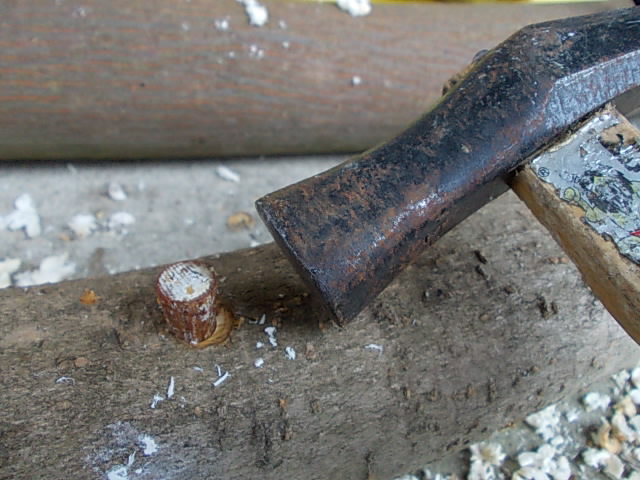 Inoculated wood 20130402