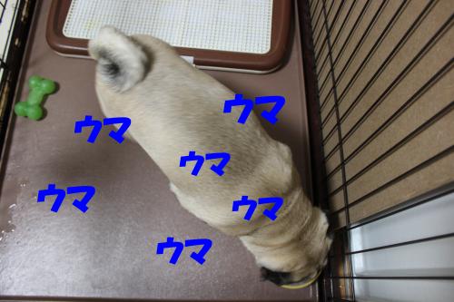 誕生日④