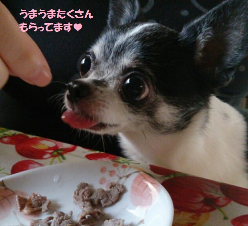 IMG_20130804_082740実家