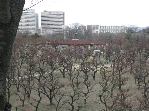 IMG_0011b.jpg
