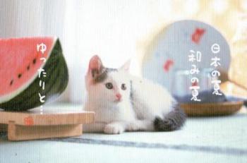 ポスクロ(送)216