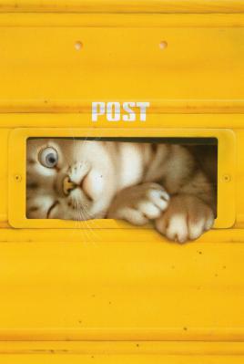 【postcrossing / forum(77)】6