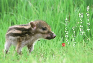 ポスクロ(送)296