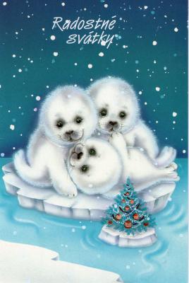 チェコのKからクリスマス2012-31