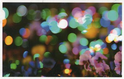 【postcrossing / forum(26)】2