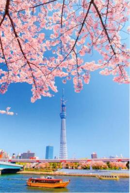 【postcrossing/forum(5)】I want....(request tag)送