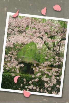 【postcrossing / forum(71)】1