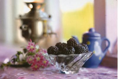 【postcrossing / forum(71)】2
