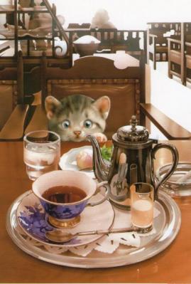 【postcrossing / forum(19)】1