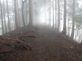 DSC00880.jpg