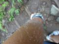 DSC00881.jpg