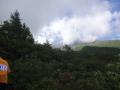 DSC00892.jpg