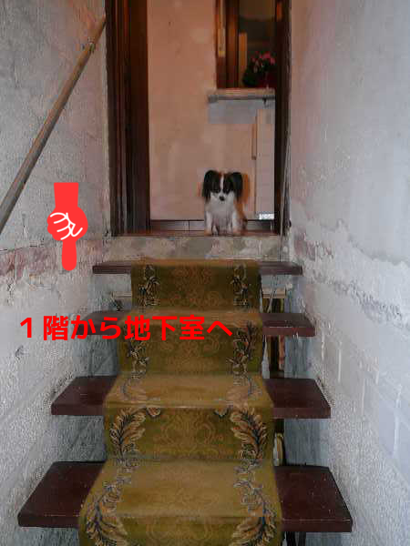 JkpdJTRGfgb9E5Q1358169651_1358170467.png