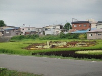 050.jpg