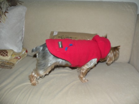 DSCN3006.jpg