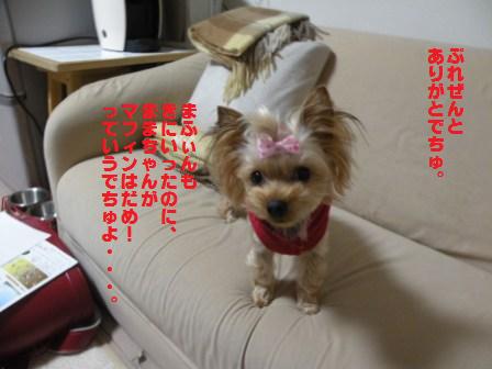 DSCN3016.jpg