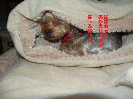 DSCN3021.jpg