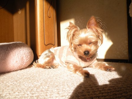 DSCN3087.jpg