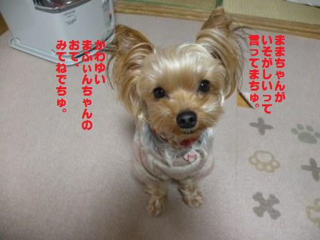 DSCN3093.jpg