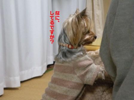 DSCN3118.jpg