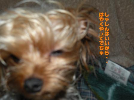DSCN3128.jpg
