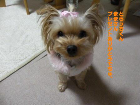 DSCN3140.jpg