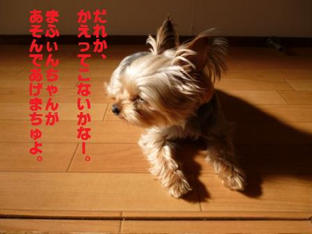 P1010343.jpg