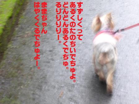 P1020075.jpg