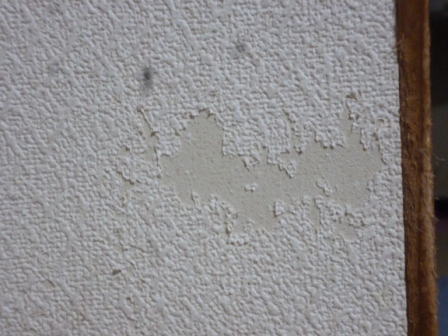 P1020189.jpg