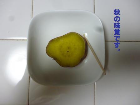 P1020477.jpg