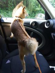 120827a.jpg