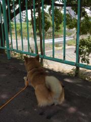 120828b.jpg