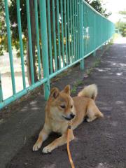 120828c.jpg