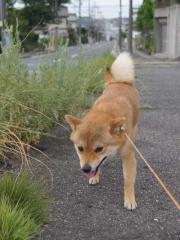 120829b.jpg