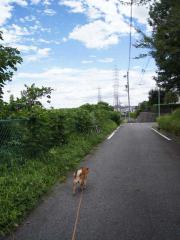 120903a.jpg